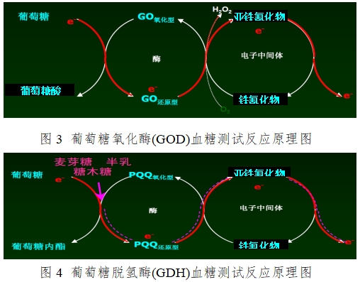 血糖儀注冊(cè)技術(shù)審查指導(dǎo)原則（2016年修訂版）（2016年第22號(hào)）(圖3)