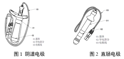 神經(jīng)和肌肉刺激器用體內電極注冊審查指導原則（2024年第19號）(圖1)
