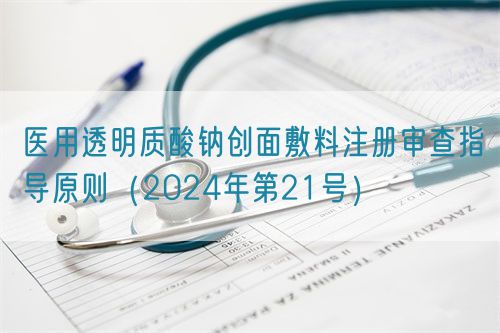 醫(yī)用透明質(zhì)酸鈉創(chuàng)面敷料注冊審查指導原則（2024年第21號）