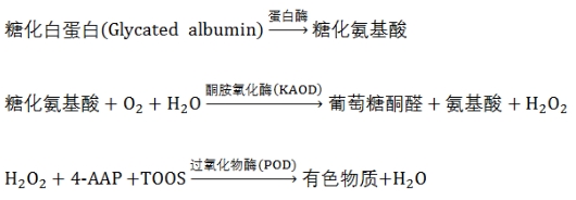 糖化白蛋白測(cè)定試劑注冊(cè)技術(shù)審查指導(dǎo)原則（2020年第14號(hào)）(圖3)
