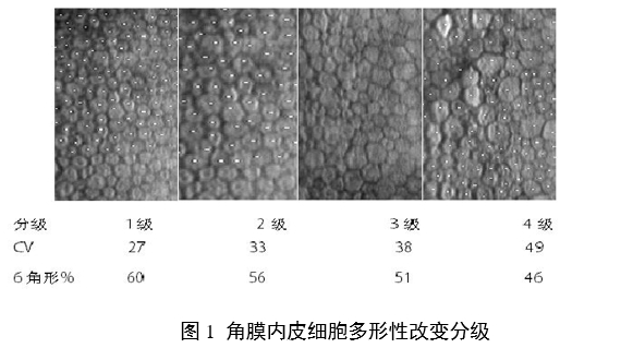 接觸鏡護(hù)理產(chǎn)品注冊審查指導(dǎo)原則（2023年修訂版）（2023年第9號(hào)）(圖12)