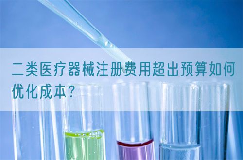 二類醫(yī)療器械注冊費(fèi)用超出預(yù)算如何優(yōu)化成本？(圖1)