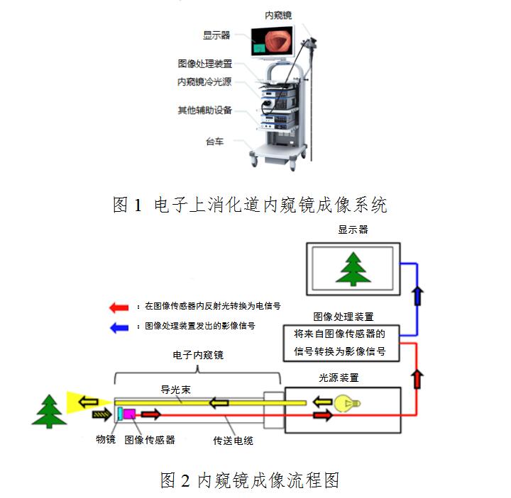 電子上消化道內窺鏡注冊技術(shù)審查指導原則（2020年第87號）(圖2)