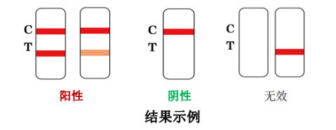 新型冠狀病毒抗原檢測(cè)試劑注冊(cè)技術(shù)審評(píng)要點(diǎn)（試行）（2022年第10號(hào)）(圖2)