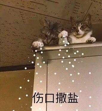 抗腫瘤藥物試驗中是否需要收集死亡證明？(圖2)